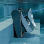 dolphin2